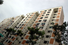 Blk 206 Petir Road (Bukit Panjang), HDB 3 Rooms #217982